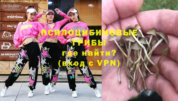 синтетический гашиш Абдулино